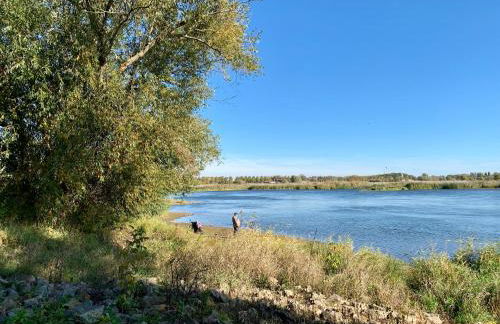 Viadrina Rooms & Apartments Frankfurt-Oder am Park im Zentrum - Foto 13