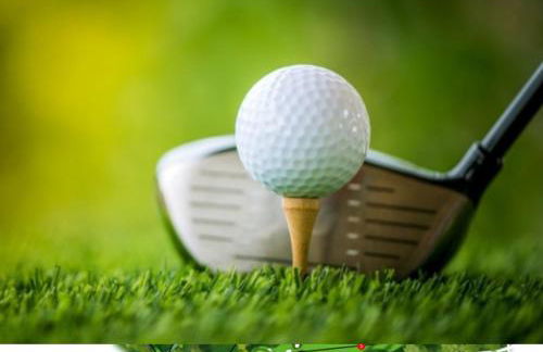 Le Relais du Golf- Château de la Touche - Foto 23