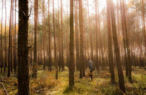 Brzozowa Chatka - Dom nad Jeziorem - Wellness & Ceragem - Foto 34