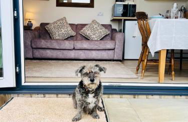 Romantic Cabin Retreat on 50-Acre Suffolk Farm - Foto 19