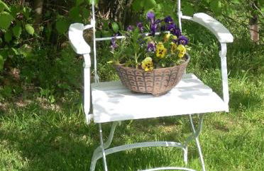 Ferienwohnung Marienkäfer - Photo 21