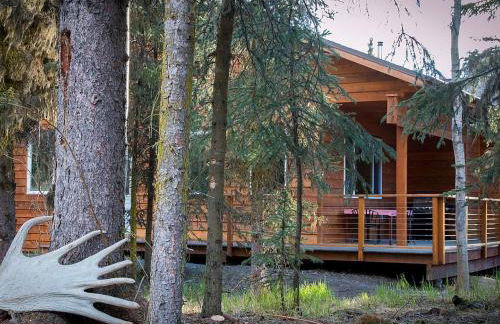 Charming Cabin Rental Surrounded by Chugach National Forest, Alaska - Photo 1