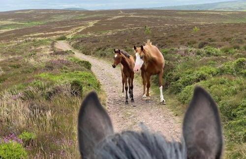 Pardlestone Farm – Self-Catering Cottages - Foto 60