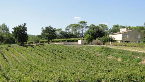 Jas de Marripey - Foto 3, Garden view