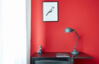 “Botanica” near Venice - Foto 5