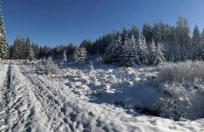 Ferienhaus Ginkgo Biloba - Foto 40