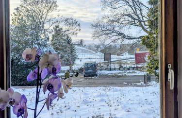 Wohnen im Voralpenland - Foto 20