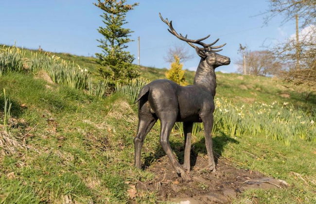 Cottage in Brookland Near Romney Marsh - Photo 28