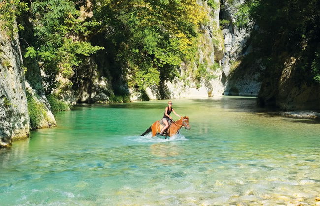 White Orchid Luisia in Vola - Foto 26