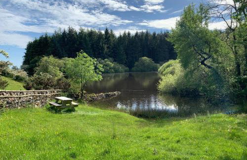 The Nook at Pentregaer Ucha, with tennis court & lake. - Foto 24