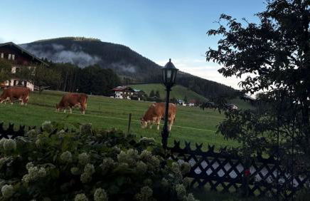 Bader Häusl - Chiemgau Karte - Foto 9