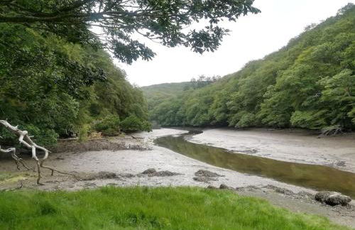 Chy Bownder Cottage - Photo 36