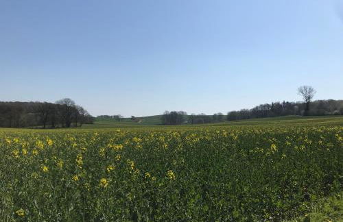 Ferienhaus im Sandkamp - Foto 35