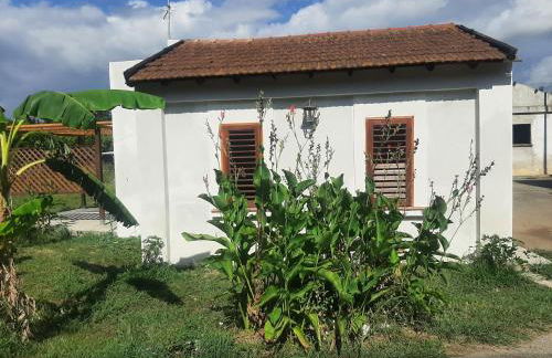 Azienda Agricola Neocastrum - Photo 15