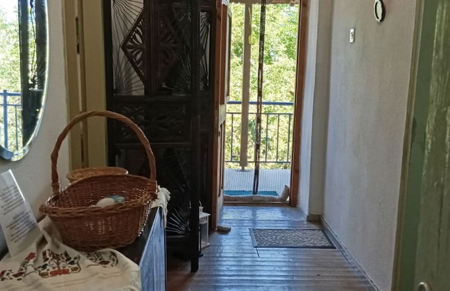 Grandpa s Ouse in Tsagkarada - Foto 19