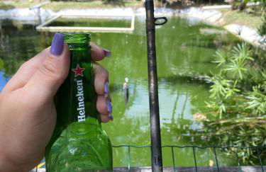 Hospedaria Recanto da Paz - Foto 58