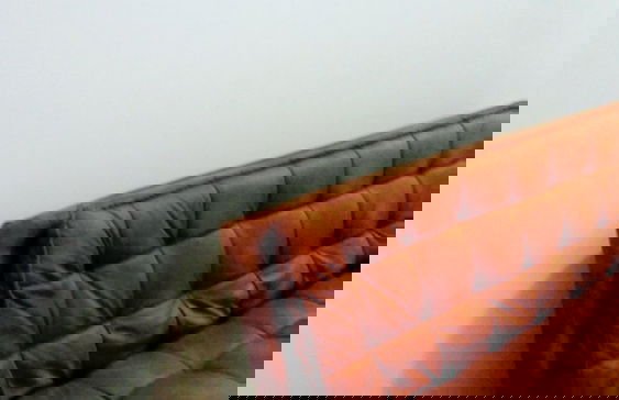 Travellers Pearl by Story Tellers - Foto 2