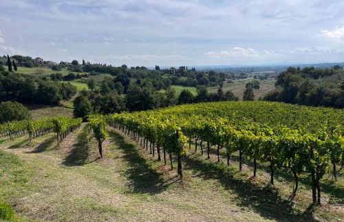 Podere Campanella - Photo 34