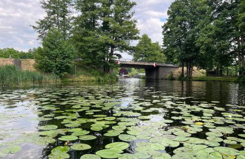 Ferienwohnung vor den Toren Berlins - Foto 40