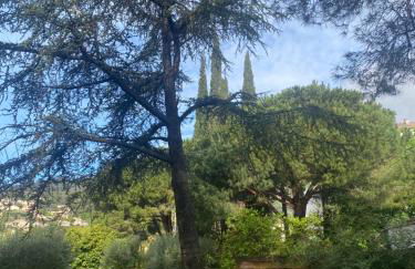 Oasis de verdure en centre-ville - jacuzzi privé - Foto 26