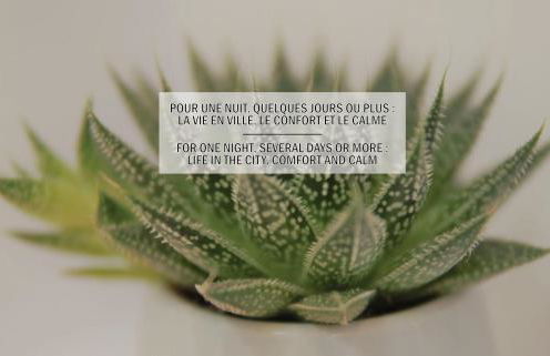 La maisonnette de la Concorde au cœur de Moissac - Foto 21