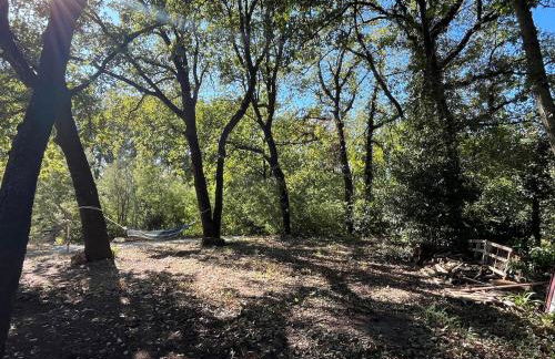 Villa with Garden near Rome for Groups & Families - Foto 41