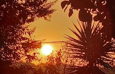 Querência MaeDa - Photo 19