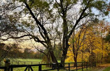 Appartment II Dwor Kuflew - Foto 28