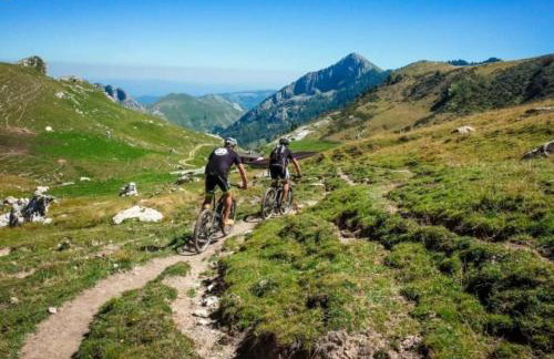 Il giardino sulle Piste - Foto 63