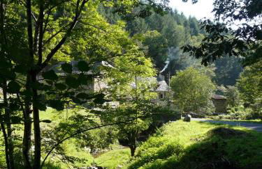 Le Moulin de Graunès - Photo 20
