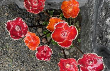 Adega do Fogo - Photo 43