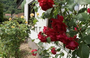 Ferienwohnung Meyerhöfer - Photo 11