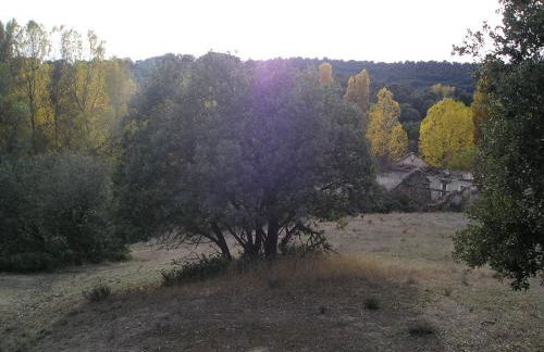 Viejo Horno - Foto 6