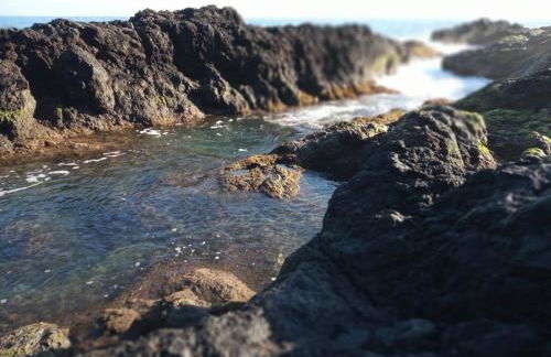 Lazy Lizard by the Ocean - Foto 30