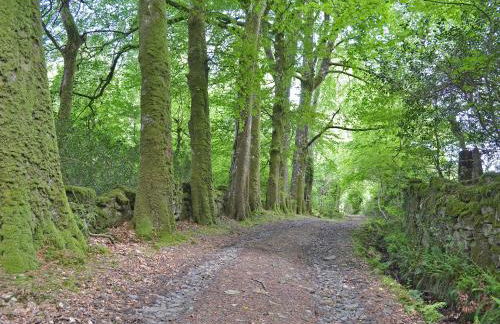 Bagtor Hayloft - Foto 10