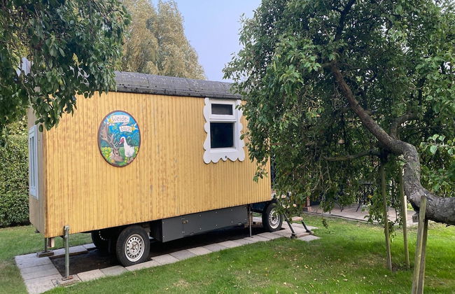 Gypsy Caravan in Weideblick With Farm Animals - Foto 32