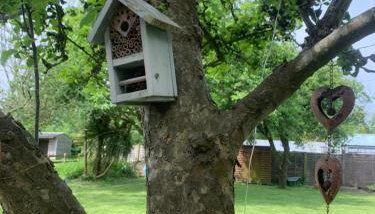 Little Banks Cabin - Foto 3