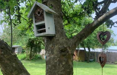 Little Banks Cabin - Foto 3