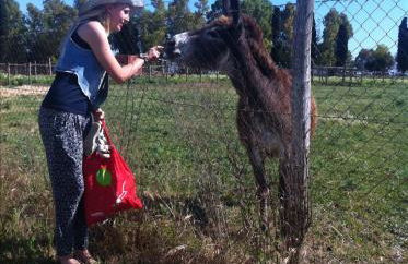Podere Del Gesso - Foto 7