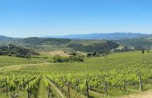 Podere Castellare - Photo 19