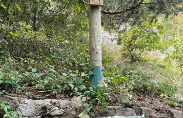 Rasmia Canfranc Estación - Photo 16