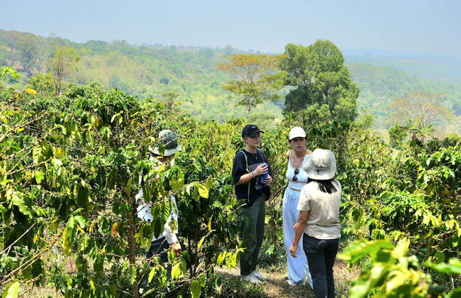 PIDA COFFEE FARM LODGE - Photo 42