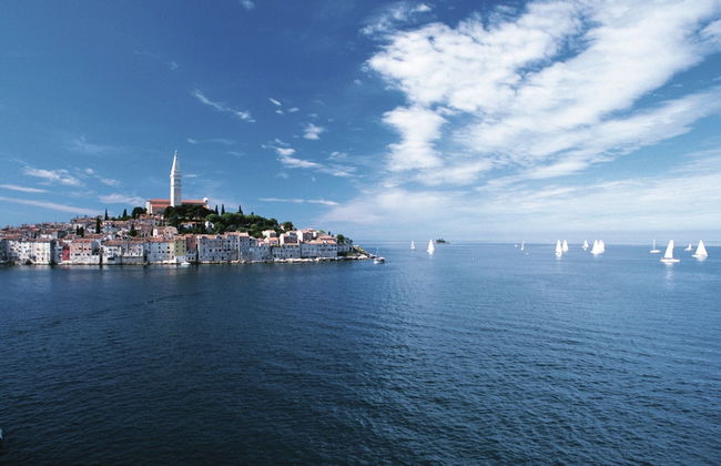 Villa in Porec With Private Pool & Garden - Foto 42