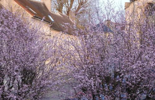 Maison de Marie - Foto 19