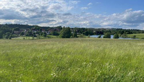 Ferienwohnung am Sumpfteich - Foto 3