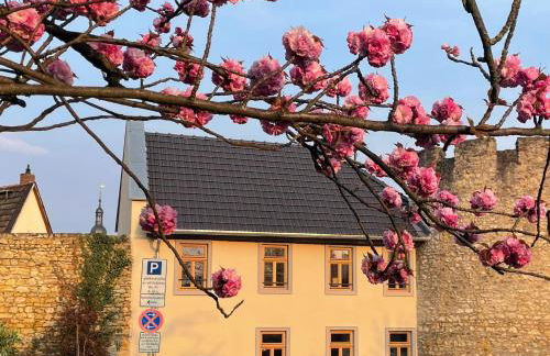 1899 Eltville - Photo 1