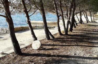 Villa Laurus - Foto 35