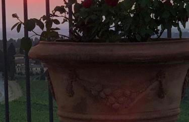 Podere Ghiole - Foto 12