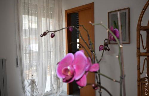 Vacation House a Mola di Bari - Foto 17