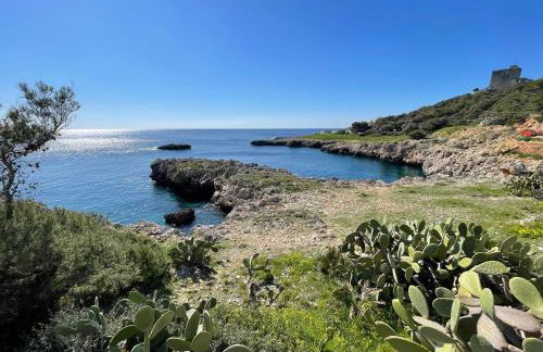 Pinetamare Azur - Panoramic Rooftop villa apartment Porto Selvaggio - Foto 13